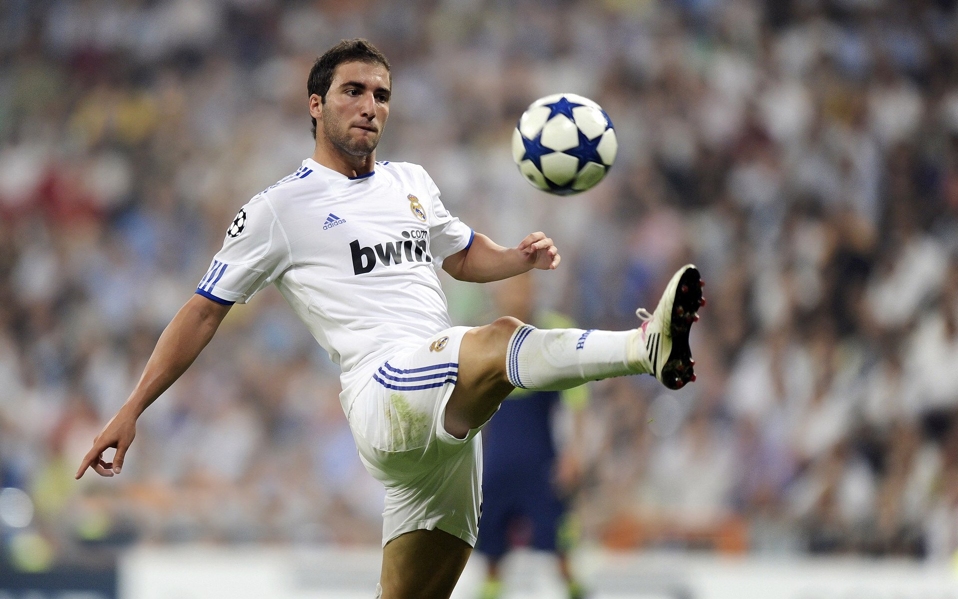 “马科斯·莫奇的战术执行力与快速反应，为美洲狮队带来强大优势”