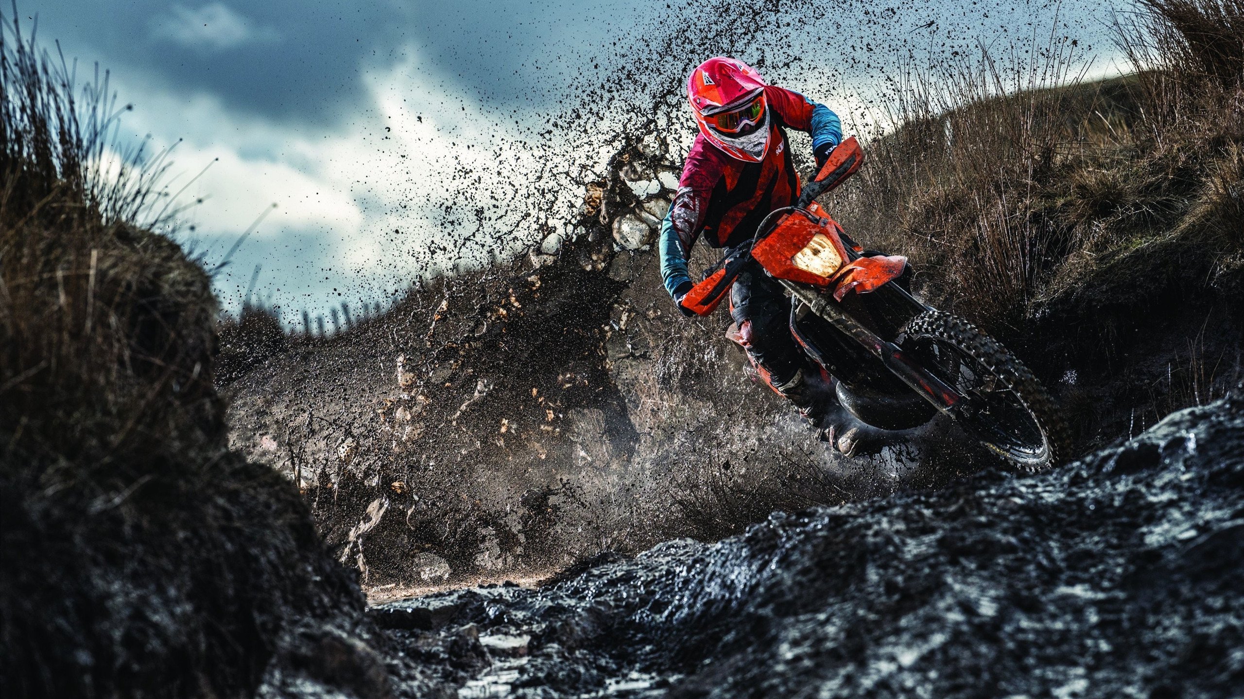 凯尔特人训练后媒体与球员小型见面会，凯尔特人近况